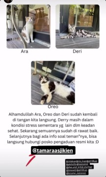 Kucing Astrid Kuya. [Instagram]